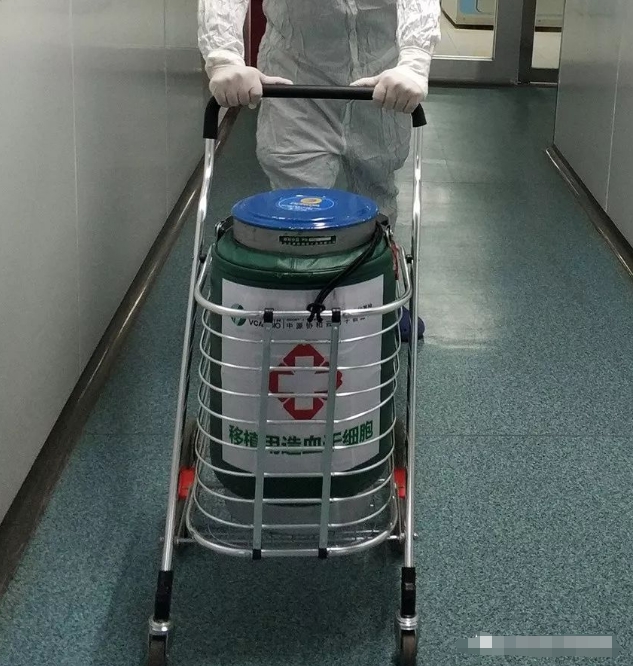 细胞运输